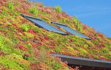 Braybrooke living roof systems