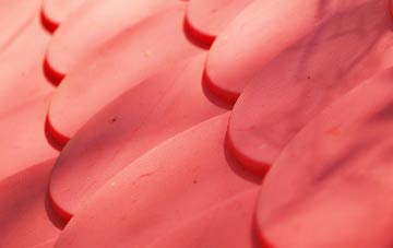 Braybrooke plastic roof costs